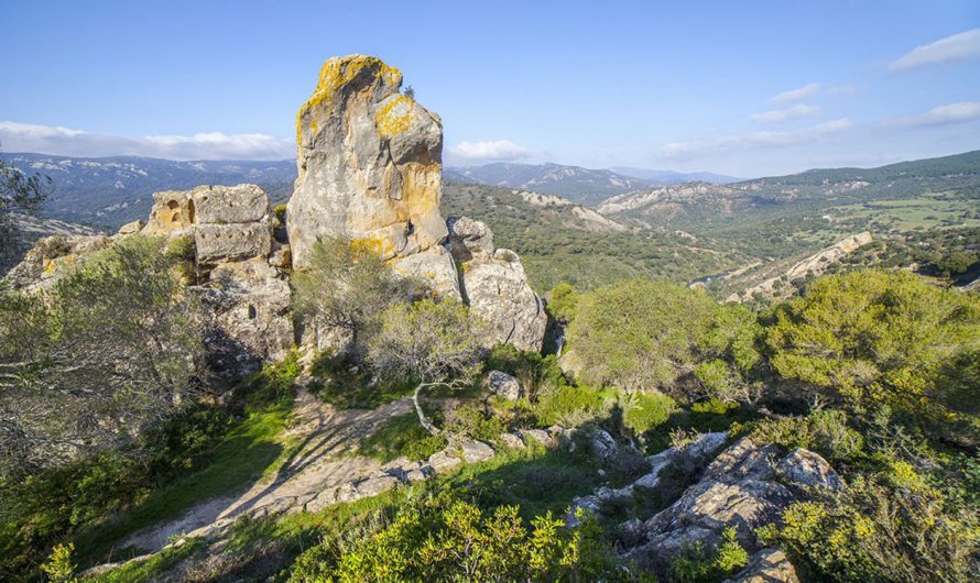 Libertad de Viaje: Descubre Andalucía en Primavera con tu Propio Automóvil