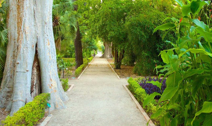 Jardines Urbanos de Valencia: Tiempo de Ocio en la Verde Serenidad